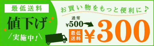 最低送料値下げ実施中