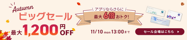 秋のビッグセール