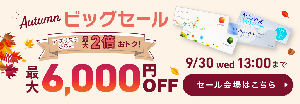 秋のビッグセール
