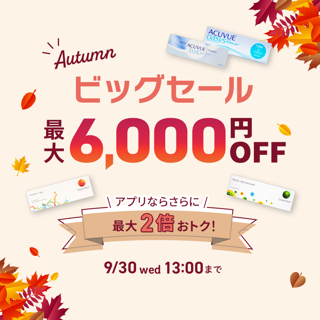 秋のビッグセール